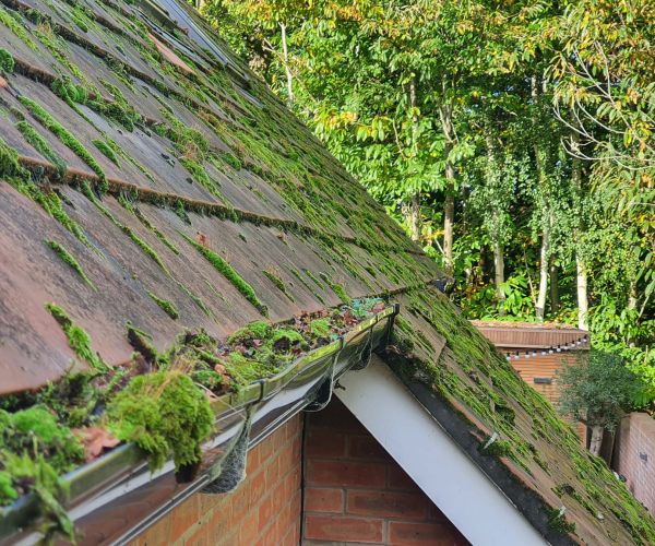 Property Cleaning Blog