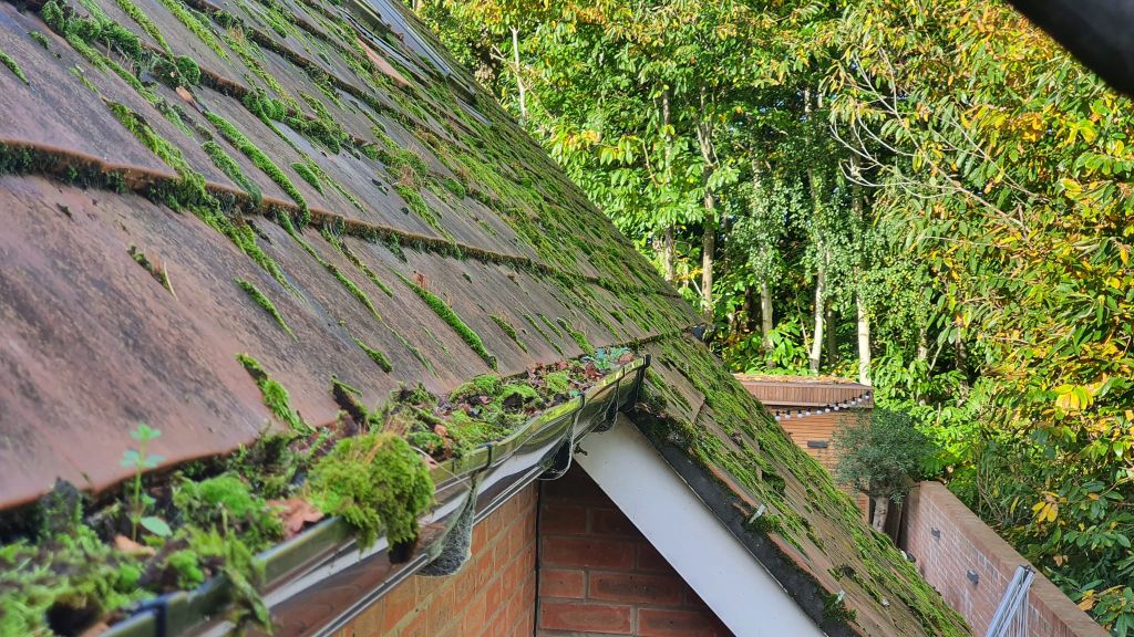 How to prevent gutters from clogging Kent Property Cleaning